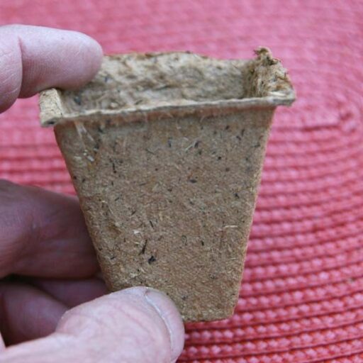 Anzuchttöpfe eckig, 5 cm (36 Stück)