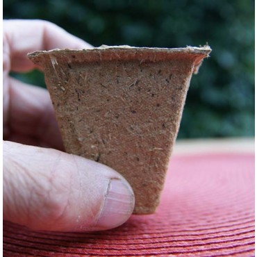 Anzuchttöpfe eckig, 6 cm (24 Stück)