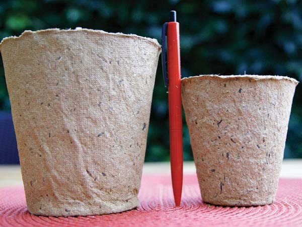 Anzuchttöpfe rund, 6 cm (26 Stück)