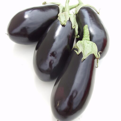 Aubergine Elisa F1