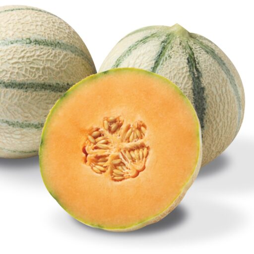 Charentais-Melonensamen Century F1