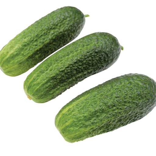 Gurke Diamant F1 (Bio Saatgut)