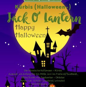 Kürbis (Halloween) Jack O´ Lantern Haus (5 Korn)