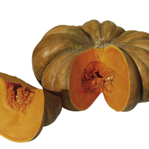 Kürbis Musquée de Provence