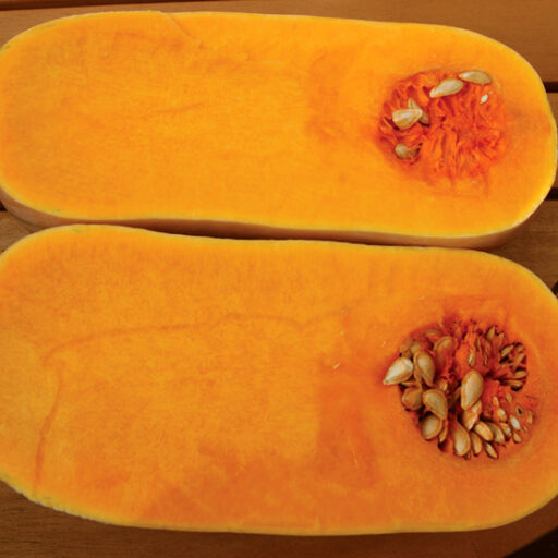 Kürbis Orange Butternut