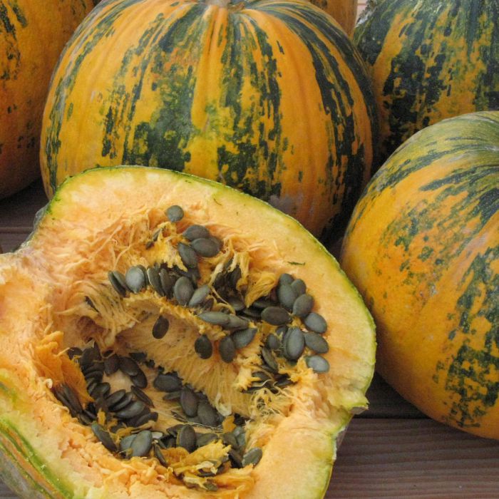 Kürbissamen Gleisdorfer Ölkürbis Bio Demeter