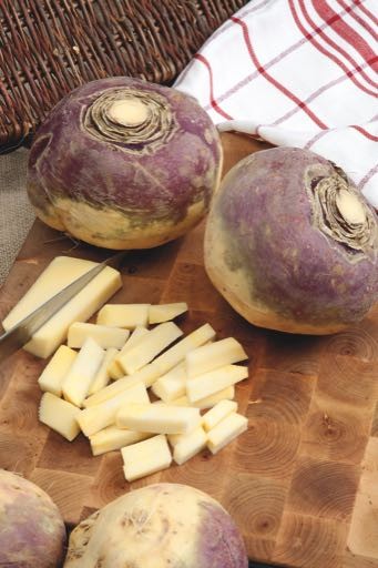 Kohlrübe Wilhelmsburger