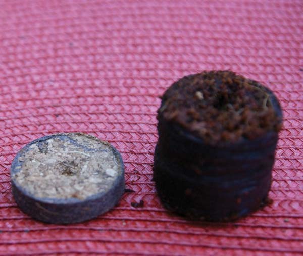 Kokos Quelltöpfe (50 Stück)