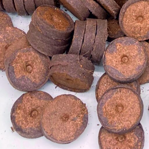 Kokosquelltabletten, 20 Stück