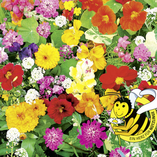 Last Minute Blumenmischung