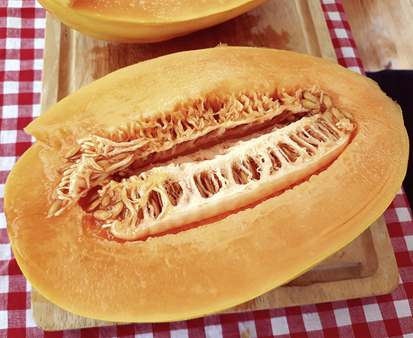 Mango Melone Mangomel F1