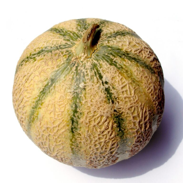 Melone Ananas