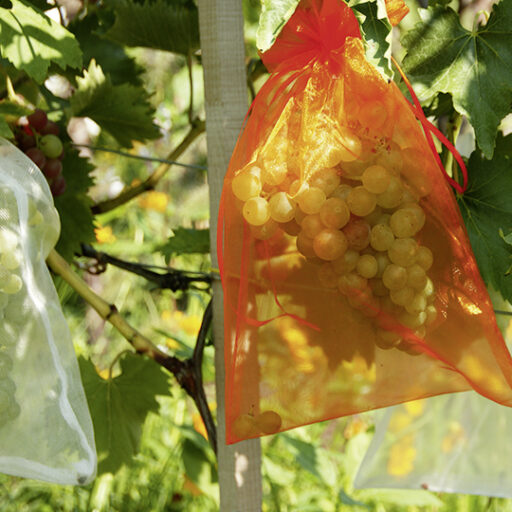Obstschutz Säckchen, rot (10 Stück)