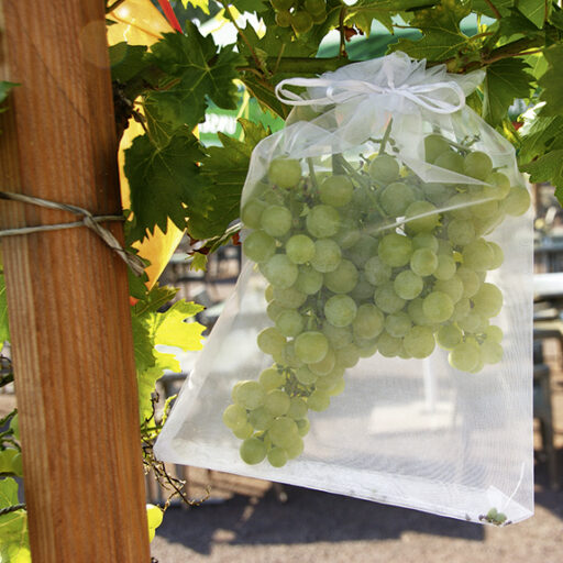 Obstschutz Säckchen, weiß (10 Stück)