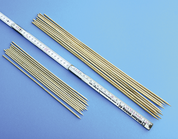 Pflanzen - Stützstäbe (40 cm Länge; 10 Stück)