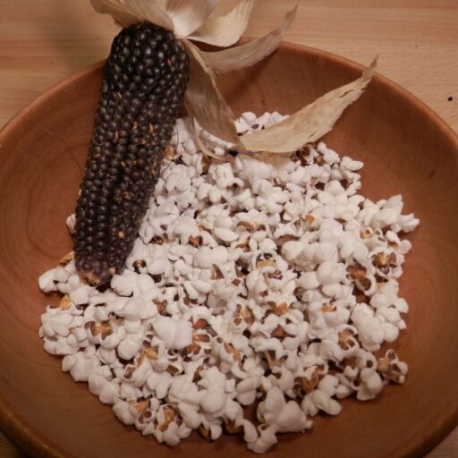 Popcornmaissamen NegroCine Bio Demeter
