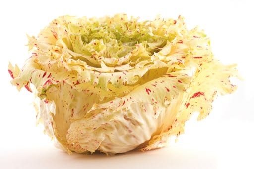 Radicchio Variegata di Castelfranco