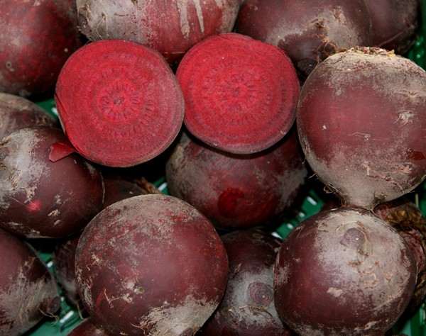 Rote Rübe Pablo (rund)