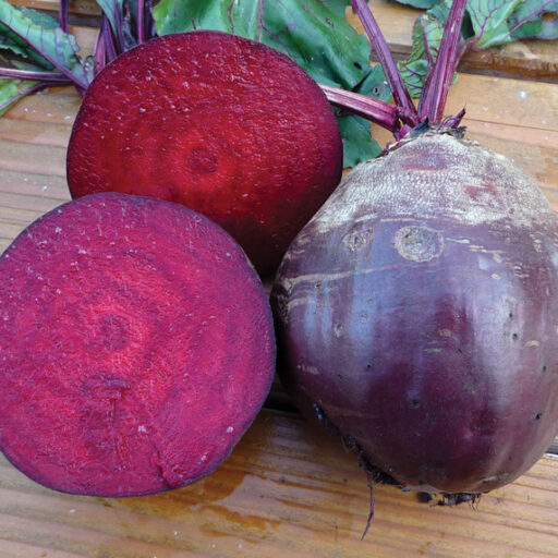 Rote Rübe Rote Kugel