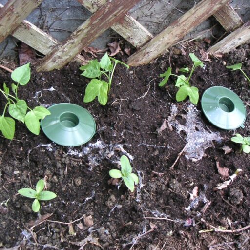 Schneckenfalle (5 Stück)