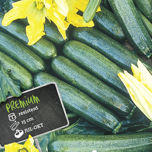 Topf- und Rank Zucchini Quine