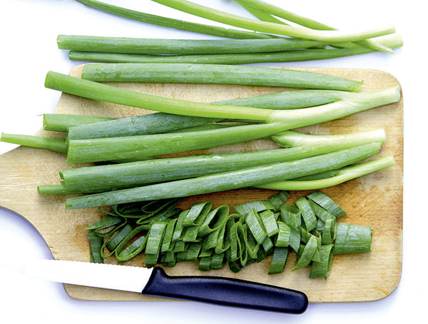 Winterheckzwiebel Freddy