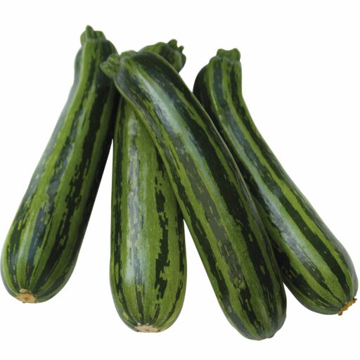 Zucchini Green Tiger F1 Bio