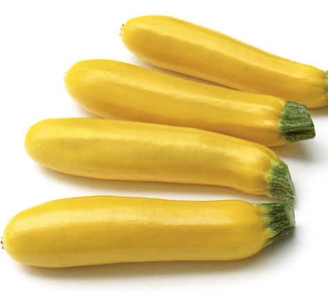 Zucchini Sebring F1