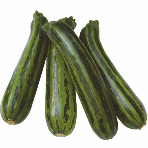 Zucchinisamen Green Tiger F1