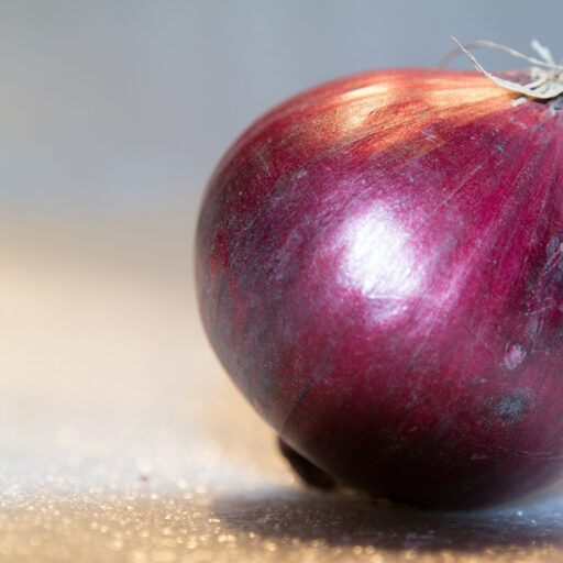 Zwiebel Red Baron Bio