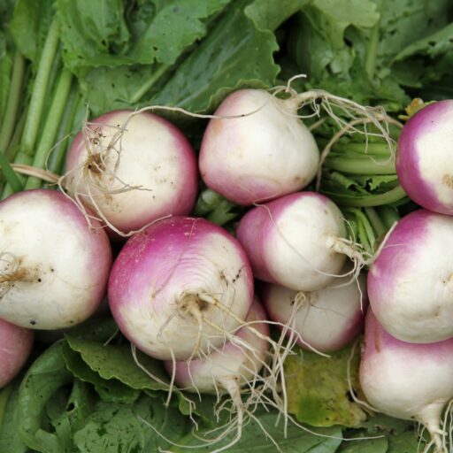 Mairübchen Di Milano Bio